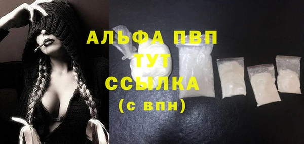 стаф Новозыбков