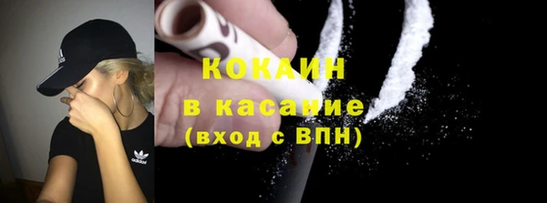 стаф Новозыбков