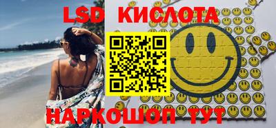 амф Гусев