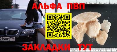 амф Гусев