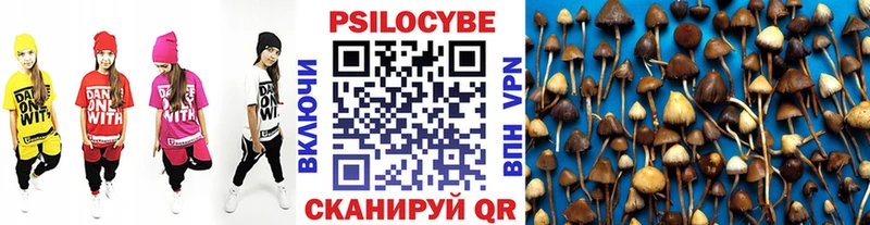Псилоцибиновые грибы Cubensis  Зеленодольск 