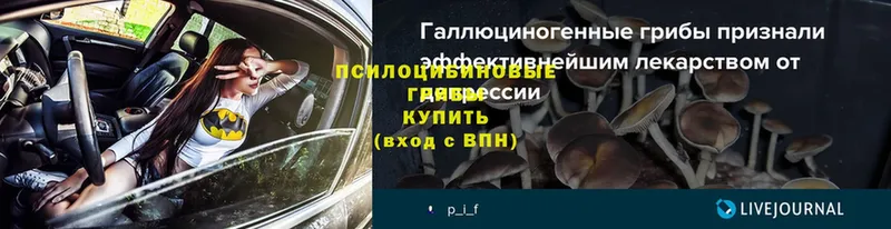 площадка наркотические препараты  Зеленодольск  Галлюциногенные грибы ЛСД  наркота  blacksprut ССЫЛКА 