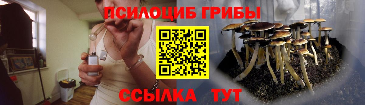 сколько стоит  Зеленодольск  Псилоцибиновые грибы Psilocybe 